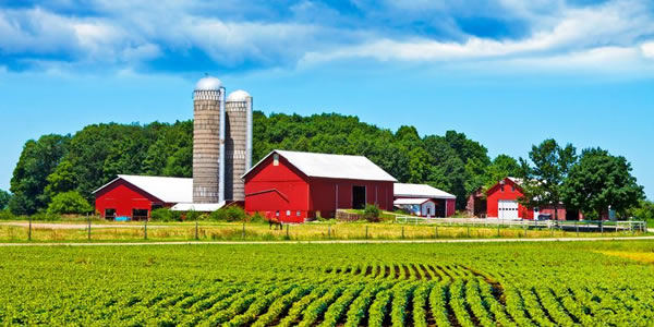 A Grower Notes managed farm with barn and soybean field