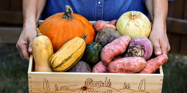 CSA basket full of fall goodies ready for a client pickup